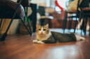 索尼（SONY）FE 50mm F1.4 GM 全画幅大光圈定焦G大师镜头 人像摄影(SEL50F14GM) 实拍图
