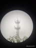 星特朗原野X黑色8X42高清高倍充氮防水夜视双筒望远镜户外儿童节礼物 实拍图