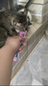 多特思猫零食猫条混合口味15g100支0添加0诱食剂防掉毛成幼猫咪鱼油罐头 实拍图