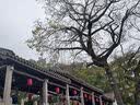 京东家政2小时单次日常保洁兑换券 家政保洁上门服务 家庭清洁换季家务 【小户型体验】 可使用区域见商详页 实拍图