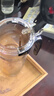 飘逸壶泡茶壶耐热高温玻璃沏茶过滤内胆冲茶器家用茶具套装 飘逸杯500mL1个 实拍图