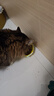 京东京造猫粮鸡肉味全价成猫粮10kg三文鱼肉营养美毛长肉质检流浪救助 实拍图