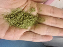 舒可曼抹茶粉100g 烘焙绿茶粉原料蛋糕装饰曲奇饼干 实拍图