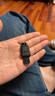 闪迪（SanDisk）64GB USB3.2 U盘 CZ550黑色 读速100MB/s 安全加密 数据恢复 学习办公电脑车载 高速大容量优盘 实拍图