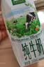 伊利【新鲜日期】金典纯牛奶整箱 200ml*12盒 3.6g乳蛋白礼盒装 4月 实拍图