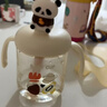 葆氏儿童牛奶杯学饮杯直饮喝水杯宝宝吸管杯PPSU材质带刻度330ML-熊猫 实拍图