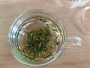 富光花茶杯透明茶杯内胆茶水分离杯办公室玻璃杯子水杯350ml 实拍图