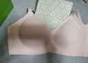 有棵树内衣女士软支撑聚拢收副乳无痕莫代尔亲肤吸湿排汗大胸显小文胸 实拍图