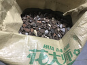 花大师 兰花专用土蝴蝶兰君子兰专用花土营养土兰花植料松树皮颗粒透气 豪华版24升 大苗小苗通用 实拍图