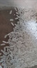 太粮猫牙米长粒米20斤 籼米南方一级大米 煲仔饭煮粥丝苗米当季新米 实拍图