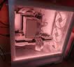 九州风神（DEEPCOOL）冰立方AK700晴雪白风冷散热器/7热管单塔全避位/8秒反转清灰/智能启停风扇/CTT2.0热管 实拍图