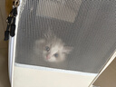 BNBNO猫包大容量宠物便捷外出透气太空舱双肩手提布偶狗背包幼犬外出包 实拍图