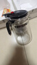飘逸壶泡茶壶耐热高温玻璃沏茶过滤内胆冲茶器家用茶具套装 飘逸杯500mL1个 实拍图