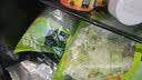 一号农场即食蔬菜沙拉田园风情120g*3益生菌羽衣甘蓝沙拉酱200g*1源头直发 实拍图