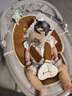 babycare婴儿电动摇椅0-1岁宝宝安抚摇篮椅哄娃睡觉神器新生儿礼物 轻奢款 实拍图