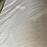邓禄普（Dunlopillo）男士波浪枕 荷兰进口特拉雷Talalay天然乳胶枕 物理发泡工艺  实拍图