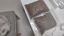 达派（dapai）德国真空封口机家用商用干湿两用全自动抽真空包装真空食品保鲜机塑封机抽腊肉真空封口 店长推荐【干湿两用】下单享袋子 实拍图