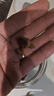 福东海  玫瑰花茶100g花草茶大朵【特优当季新货】平阴重瓣干 养生茶叶 实拍图