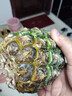 广东徐闻香水菠萝新鲜水果生鲜热带孕妇水果整箱包邮 1个装 单果1.3-1.5斤 实拍图