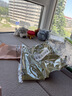 HBN发光水2.0熊果苷焕提亮补水爽肤水保湿精华水618现货抢购 实拍图