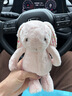 Jellycat害羞乳白色邦尼兔动物毛绒玩偶安抚玩偶娃娃送礼七夕情人节礼物 花布胭脂粉色邦尼兔（彻蕊） Small 实拍图