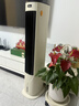 美的（Midea）【直流变频】家用空调扇 智能语音冷风扇 负离子净化落地冷风机水冷塔扇 强力制冷双向送风ADJ10SC 实拍图