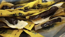 科尔沁手撕风干牛肉干 原味500g净含量 量贩装 休闲零食 肉干肉脯 特产 实拍图