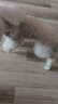 雪貂留香狗狗沐浴露宠物猫咪香波泰迪比熊清洁驱虫除虫止痒浴液 白毛专用 实拍图