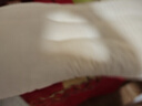 红豆A类抗菌枕头枕芯护颈枕睡眠颈椎病深度睡觉专用中枕48*74cm一只装 实拍图