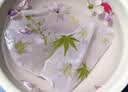 苏拉达(Surada)植物拓染材料包 手工diy树叶敲拓染锤子扎染方巾布料儿童拓印套装植物绘画diy工具包sd262 实拍图