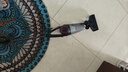 海尔（Haier）吸尘器家用手持推杆立式有线吸尘器 二合一强劲大吸力大功率宠物猫毛发清洁除尘机ZL605G 价保618 实拍图