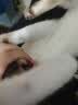 BOOLING保灵咳喘宁盐酸多西环素猫咪狗狗感冒咳嗽犬窝咳哆喜艾果根素伴侣 实拍图