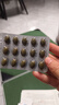 金凯撒巴康明备考鱼油omega3学生成人dha青少年6-18岁补脑增强记忆30粒 实拍图
