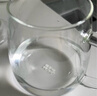 物生物（RELEA）玻璃杯男女士茶水分离杯耐高温办公泡茶杯带把高硼硅水杯花茶杯子 实拍图