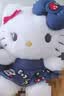 Hello Kitty三丽鸥毛绒玩具玩偶布娃娃抱枕摆件生日礼物送女生女孩凯蒂猫公仔 实拍图