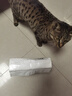 pidan猫砂 豆腐膨润土70%:30%混合1.9kg 实拍图