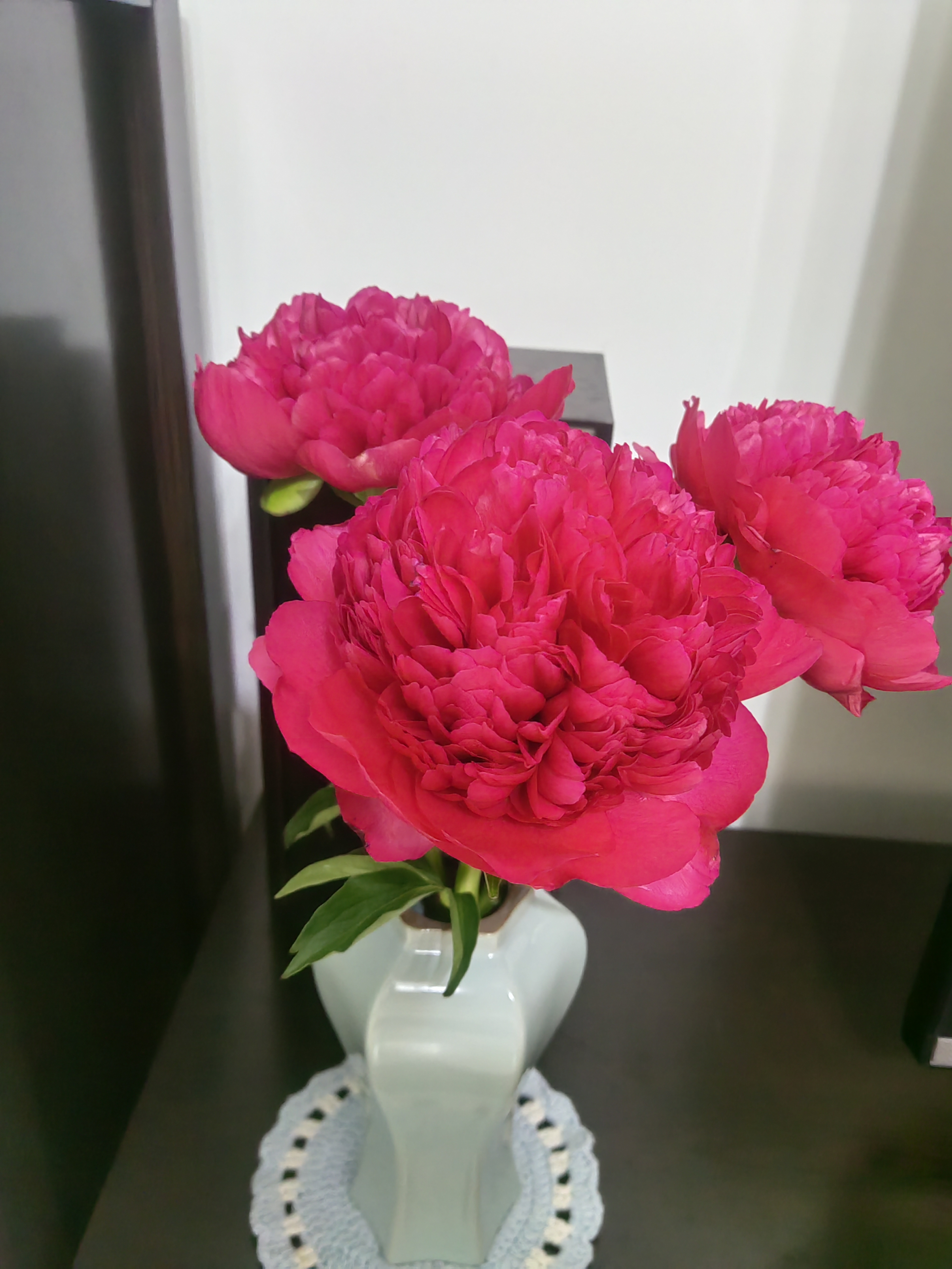 山东菏泽芍药鲜花花束重瓣大花苞基地直发鲜切花【全色系】 芍药-蓝富士【花苞/支2.5-3.0公分】 【5支】长度/支45公分以上 实拍图
