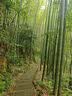 京东京造【开袋即穿】女士内裤女山茶花香氛纯棉10A抗菌裆无痕薄款中腰 L 实拍图
