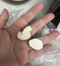 川珍白芷50g袋装 四川原产 烧炖卤料羊肉煲汤材料香辛调料 实拍图