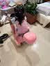 黑米儿童电动摩托车可坐双人新年春节礼物男女孩宝宝小孩带遥控玩具车 【旗舰粉】12V9A电瓶+遥控+软座 电力驱动（评价有礼品）终身保修 实拍图