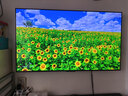 TCL雷鸟电视【价保618】 65雀5 65英寸 144Hz高刷 2+32GB内存 自定义遥控器 家电电视65F295C 实拍图