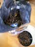 福然 昆仑胎菊100克 新疆胎菊天山雪菊野菊花茶 养生茶花草茶 实拍图