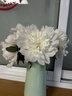 五月花泡脚桶加深24cm*1只装洗脚桶家用足浴桶洗脚泡脚盆塑料盆水桶 实拍图
