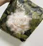 babycare山茶花一次性内裤女孕妇月子日抛出差旅行XXL码15条【安全灭菌】 实拍图