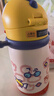babycare儿童水杯6个月以上宝宝霸王龙不锈钢保温杯上学450ml-新旧款混发 实拍图