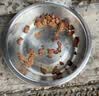 伟嘉主食猫罐头软包 老年猫主食餐包湿粮大龄猫妙鲜包85g*12海洋鱼 实拍图
