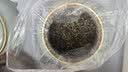 武夷欢茶叶礼盒装红茶金骏眉高端礼品领导长辈新茶特级正品300g 实拍图