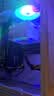 利民（thermalright）Assassin X 120 Refined SE WHITE ARGB 风冷散热器AGHP逆重力4热管 AX120 R SE WHITE ARGB 实拍图