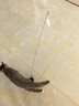 欢宠网猫玩具猫咪吸盘逗猫棒自动羽毛自嗨解闷神器铃铛猫猫幼猫小猫宠物 实拍图