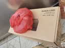 爱普生（EPSON）【6代新品】L3351墨仓式彩色打印机 微信打印/无线连接 家用AI学习打印机（打印、复印、扫描） 实拍图